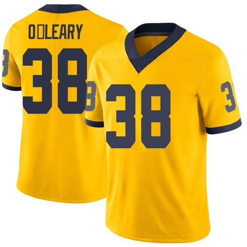 Peyton OLeary Michigan Wolverines Men's NCAA #38 Maize Limited Brand Jordan College Stitched Football Jersey CHO8554FD